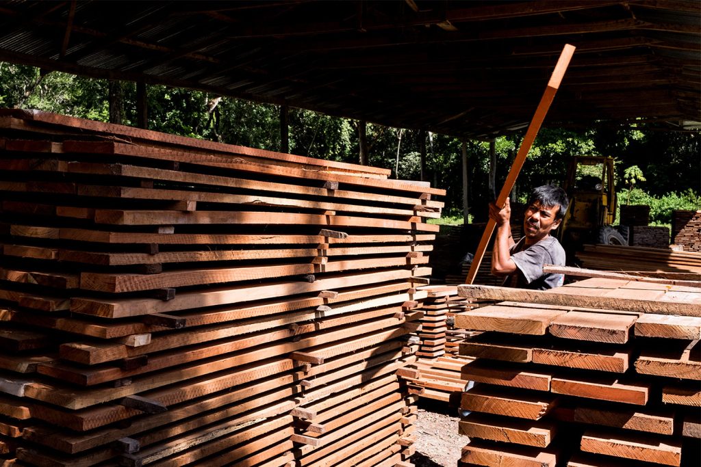 FSC Australia & New Zealand on X: Approximately 423 million cubic meters  of wood is harvested per year in FSC-certified forests globally. FSC  certified timber makes up 22.6% of global industrial roundwood