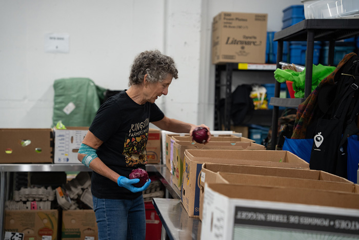 A volunteer wearing blue gloves places purple cabbages into cardboard boxes lined up on a warehouse table.