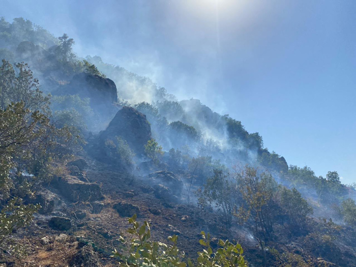 Smoke drifts across a burning, wooded mountainside beneath a clear blue sky.